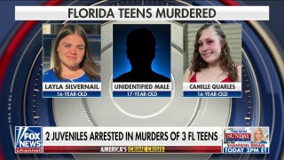 Two Florida juveniles arrested for 3 teen murders, ‘society failed these young people’: Ted Williams  - Fox News