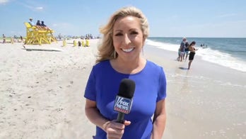 Shark sightings in NY have beach patrols on lookout