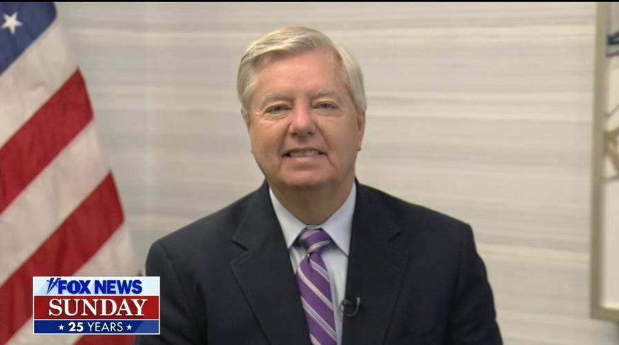 Lindsey Graham tells ‘constitutional anarchists’ to ‘quit trying to burn down America’
