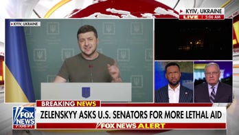 Biden administration's action 'too late' in Russia-Ukraine war