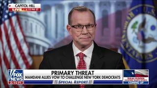 Dems still stagnant in declaring support of Mamdani, fear he'd take the party too far Left