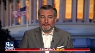  Democrats person  gotten truthful  extremist  and utmost  connected  borderline  issues - Fox News