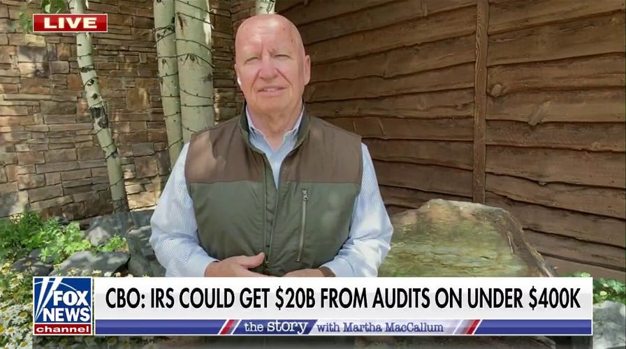 Democrats have been focused on increasing these audits: GOP lawmaker