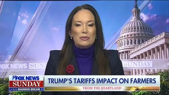 US has 'been living under a tariff regime' of other countries: Brooke Rollins