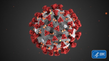 Is the novel coronavirus here to stay?