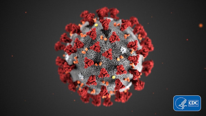 Coronavirus concerns: Scientists race to develop vaccine