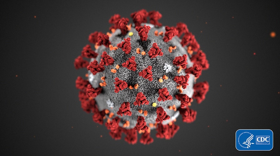 Coronavirus concerns: Scientists race to develop vaccine