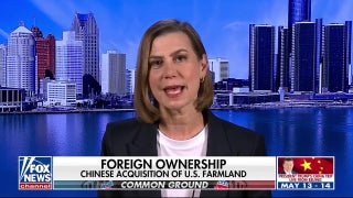 Lawmakers across the aisle make bipartisan push to temper China auto threat as Trump’s Beijing visit nears