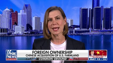 Lawmakers across the aisle make bipartisan push to temper China auto threat as Trump’s Beijing visit nears