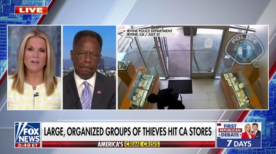 No one is afraid to go to jail when they steal: Leo Terrell