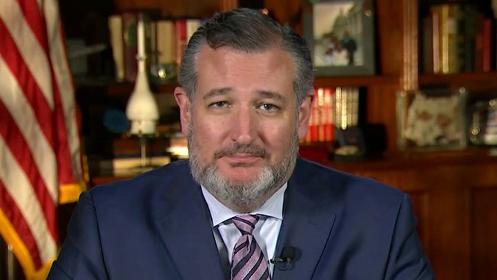 Cruz on GOP's path forward: 'You win elections by having a positive vision'