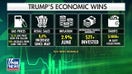 Trump marks 6 months in office with 'incredible' domestic, international wins