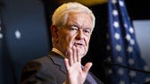 Newt Gingrich: Civilizations have to protect themselves