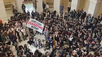 Pro-Palestinians protesters take over Capitol Hill