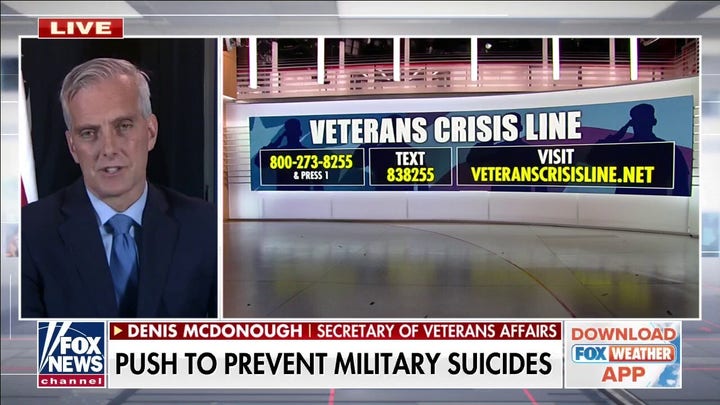 Veterans Affairs pushes to improve mental health support for veterans