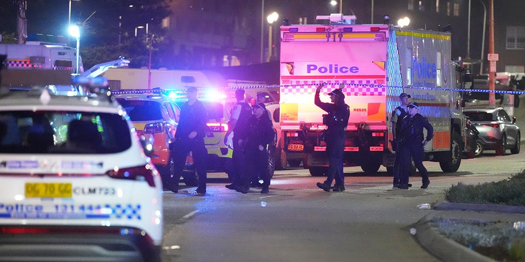 Jewish community leader says Australian government failed to prevent rising antisemitic violence