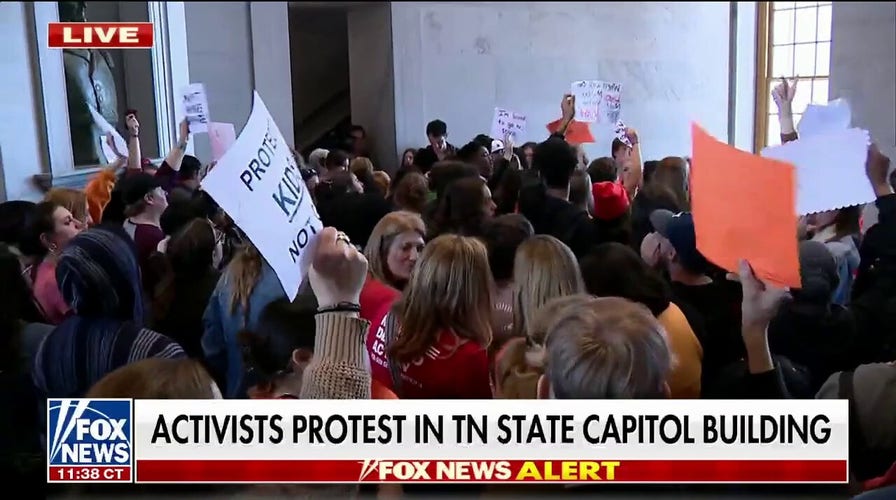 Gun control protesters rally in Tennessee Capitol building