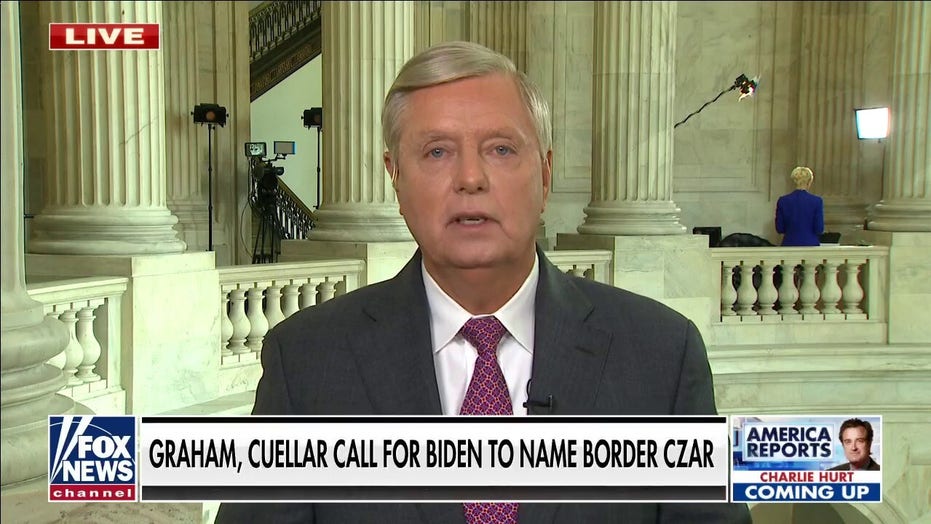 GOP Sen. Graham and Democrat Rep. Cuellar call for Jeh Johnson to be appointed border czar