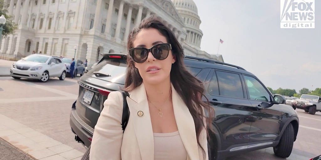 Republicans rally behind Trump amid Musk brawl | Fox News Video