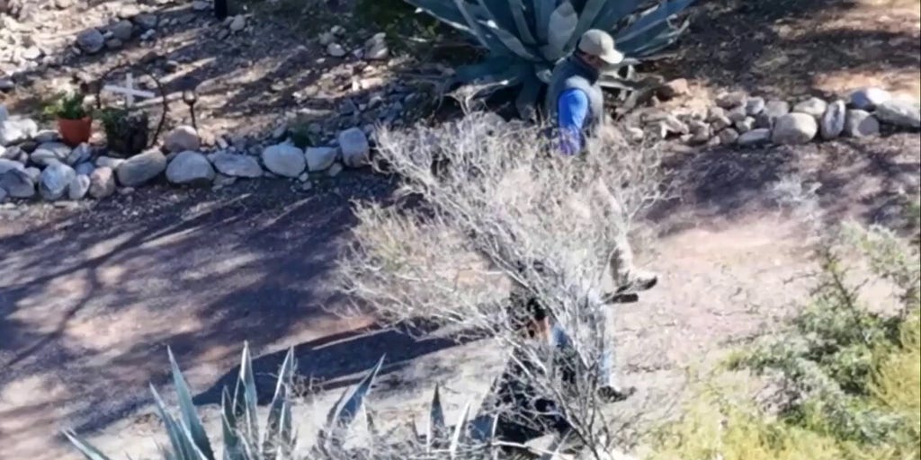 Savannah Guthrie views flowers outside Nancy's home