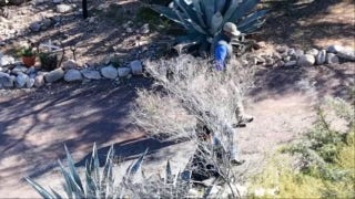 Savannah Guthrie views flowers outside Nancy's home