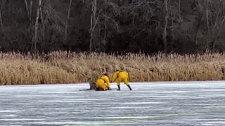 Michigan firefighters crawl on ice to rescue stranded deer  - Fox News
