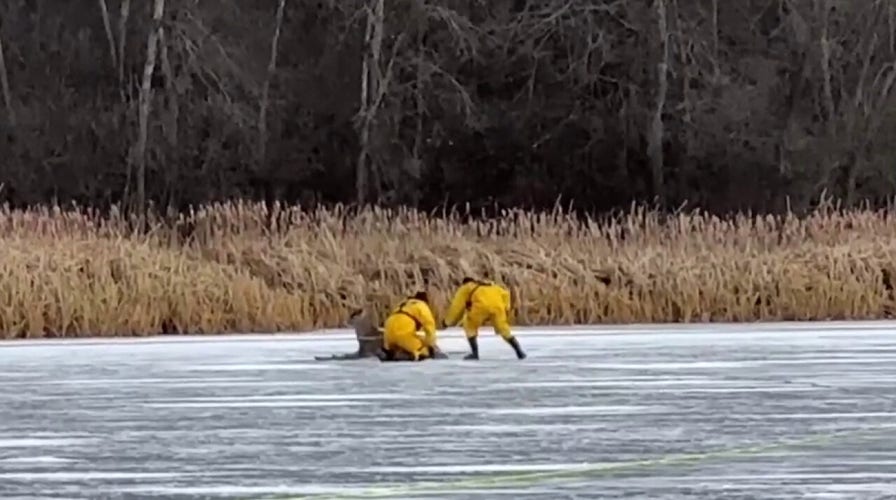 Michigan firefighters crawl on ice to rescue stranded deer 