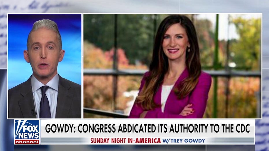 Gowdy: Congress, not federal judges, should be setting public policy