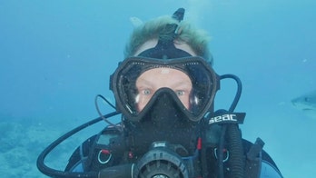 Ian Ziering explores chances of 'The Real Sharknado' on Discovery's 'Shark Week'