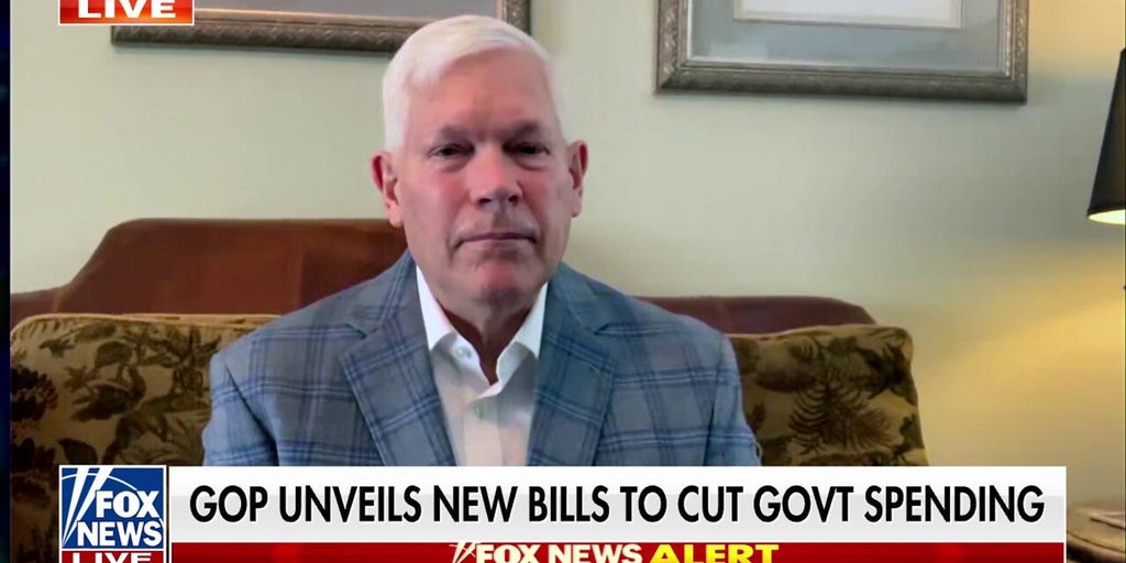 Government efficiency is 'the heart of the matter': House DOGE Caucus co-chair