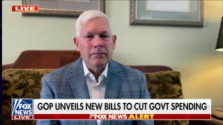 Government efficiency is 'the heart of the matter': House DOGE Caucus co-chair - Fox News