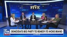 ‘Fear’ is all over the democratic process: Jesse Watters