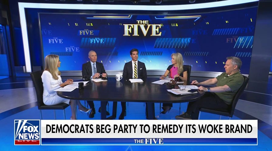 ‘Fear’ is all over the democratic process: Jesse Watters