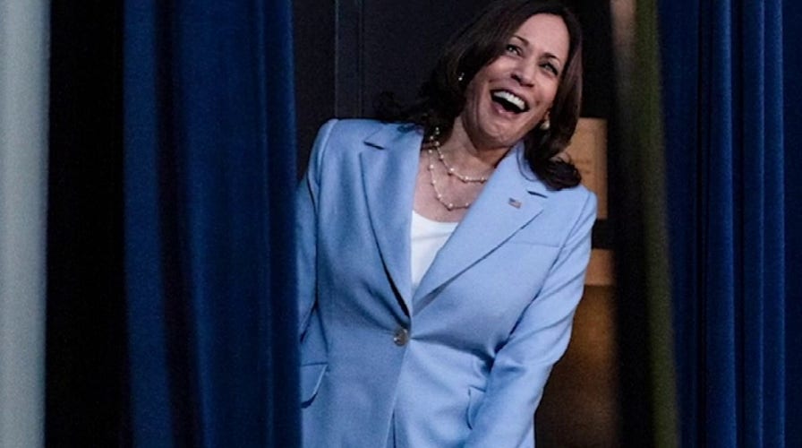 Dana Perino on VP's cursing: Does she want to be liked, or respected?