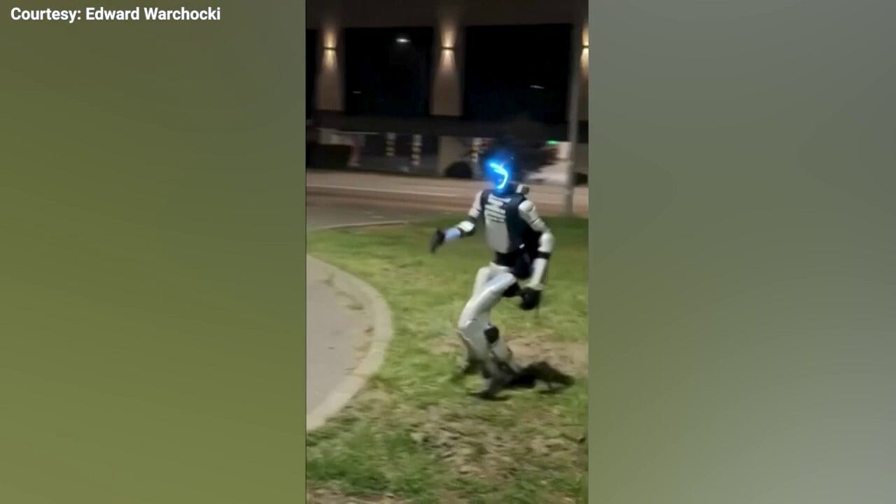 Robot chases off a group of wild boar in Poland