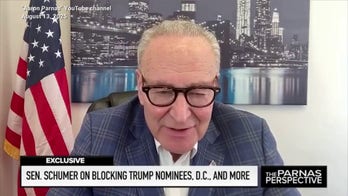 Schumer feels 'perfectly safe' walking around DC, says GOP 'full of it' on crime concerns