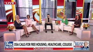 James Carville blasts far-left Democrats for doing ‘irreparable damage’ to party brand