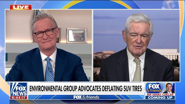 Gingrich: If you want to lower carbon footprint in US, control the border