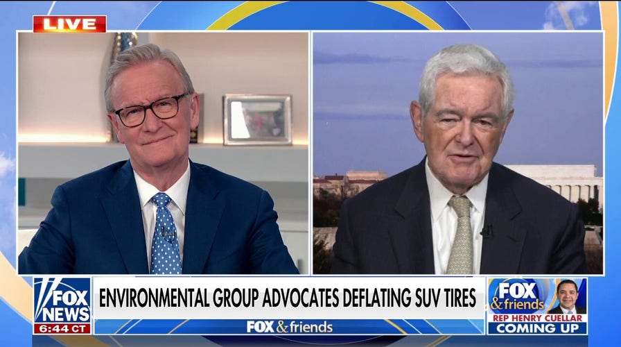 Gingrich: If you want to lower carbon footprint in US, control the border