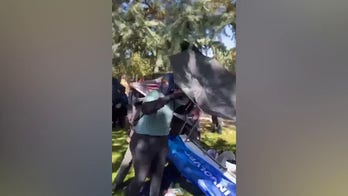 Protesters violently disrupt conservative student event at California university