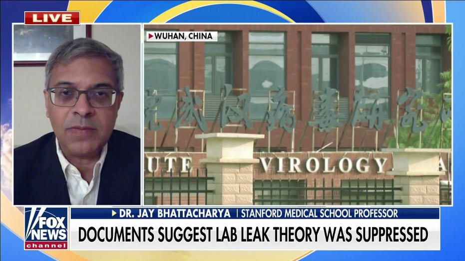 Scientists claims concerns about Wuhan lab leak were silenced