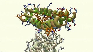 Creators think their video game can cure coronavirus - Fox News