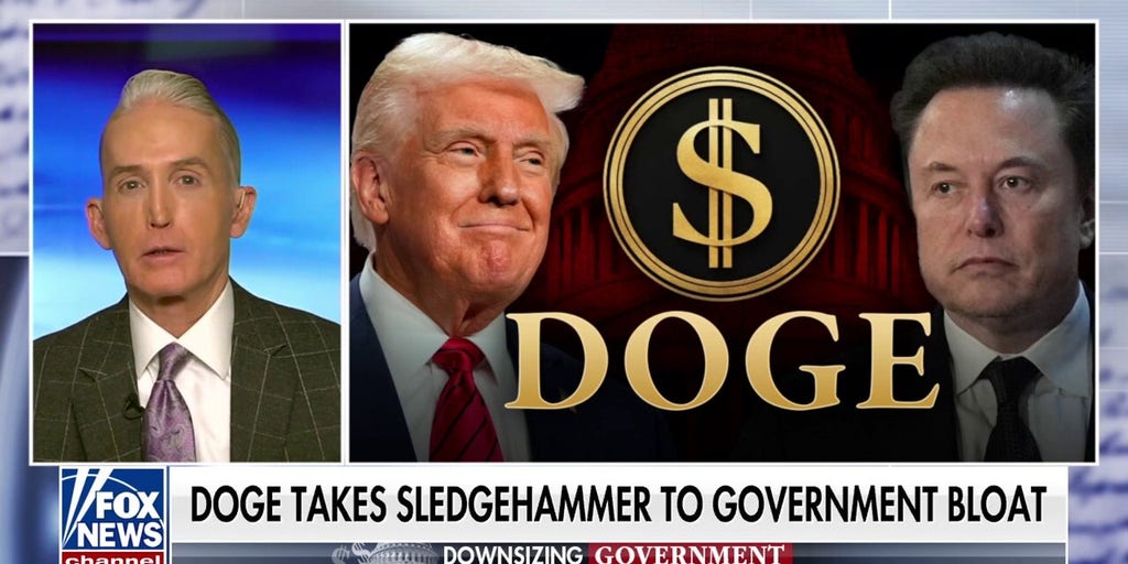 Elon Musk has no power aside from what Trump permits, says Trey Gowdy