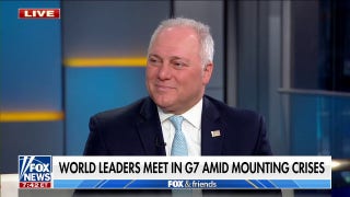 Steve Scalise: 'They've been wrong on everything' - Fox News