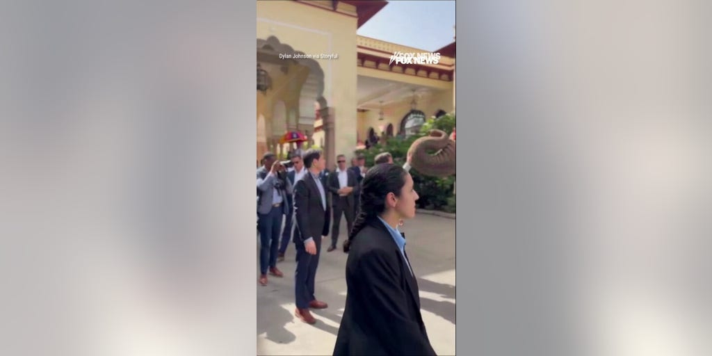 MASSIVE elephant greets Marco Rubio ahead of India meeting