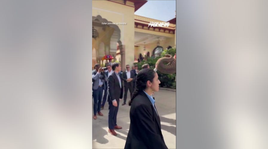 MASSIVE elephant greets Marco Rubio ahead of India meeting