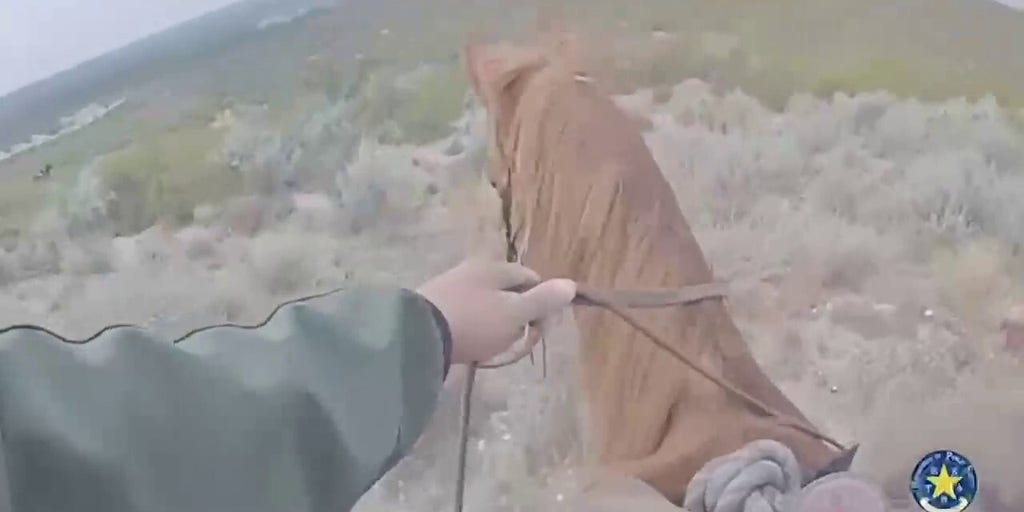 Child predator apprehended by mounted authorities