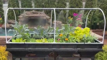 Great tools to help you grown your own food at home