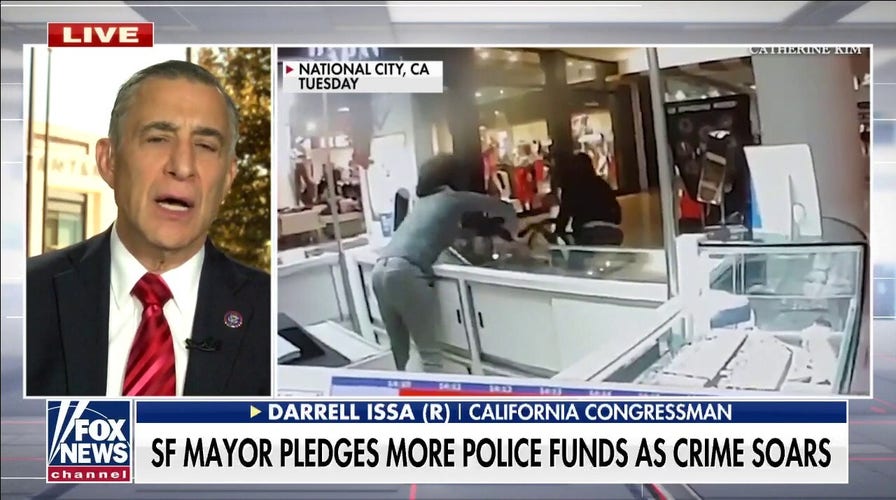 Rep. Issa: California law enforcement has been unable to address petty crimes for several years