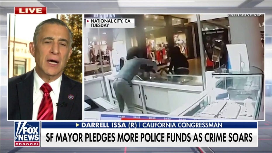 Rep. Issa: California law enforcement has been unable to address petty crimes for several years